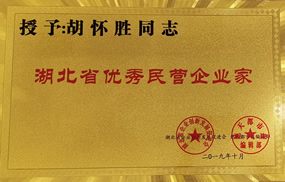 湖北省优秀民营企业家